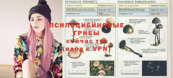 ешки Алексеевка