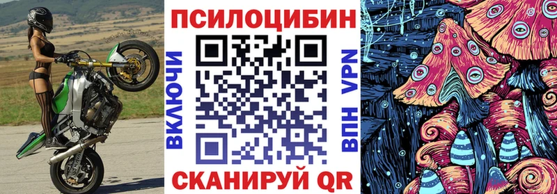ОМГ ОМГ зеркало  Динская  Псилоцибиновые грибы GOLDEN TEACHER 